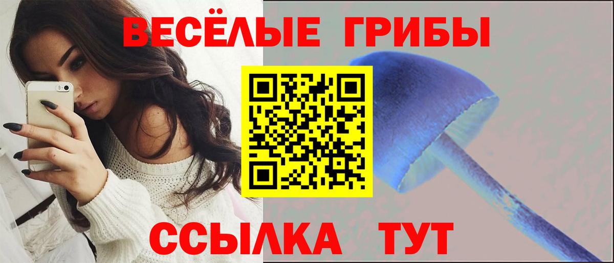 Барабинск  Псилоцибиновые грибы Magic Shrooms  Вход с VPN  Галлюциногенные грибы ЛСД 